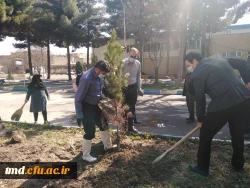 همزمان با هفته منابع طبیعی و روز درختکاری انجام شد : 
غرس چند اصله نهال در محوطه دانشگاه فرهنگیان واحد دانشور  3
