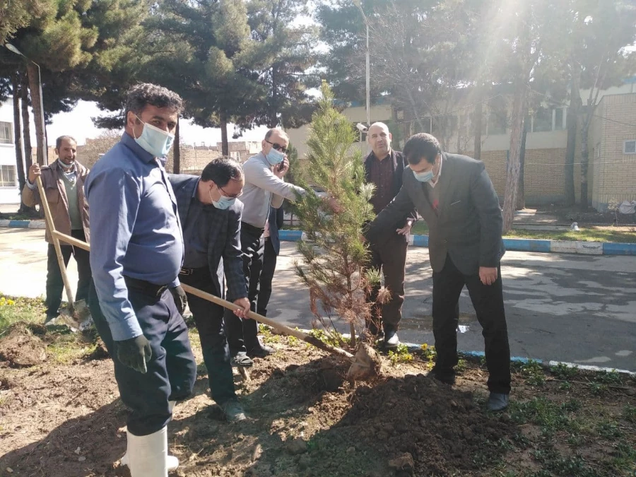 همزمان با هفته منابع طبیعی و روز درختکاری انجام شد : 
غرس چند اصله نهال در محوطه دانشگاه فرهنگیان واحد دانشور  5