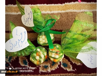 همزمان با عید سعید غدیر و با همت دانشجویان واحد دانشور انجام شد : 
برگزاری جشن در دو مرکز نگهداری کودکان بی سرپرست وابسته به بهزیستی 