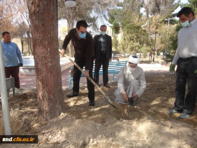 همزمان با فرارسیدن روز درختکاری انجام شد : 
غرس نهال در محوطه واحد دانشور 