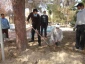 همزمان با فرارسیدن روز درختکاری انجام شد : 
غرس نهال در محوطه واحد دانشور  2