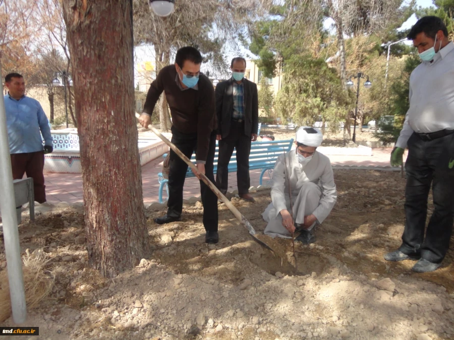 همزمان با فرارسیدن روز درختکاری انجام شد : 
غرس نهال در محوطه واحد دانشور  2