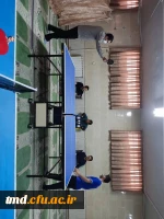 همزمان با هفته نشاط سراهای دانشجویی برگزار شد : 
برگزاری مسابقه تنیس روی میز بین کارکنان و دانشجویان واحد دانشور  3