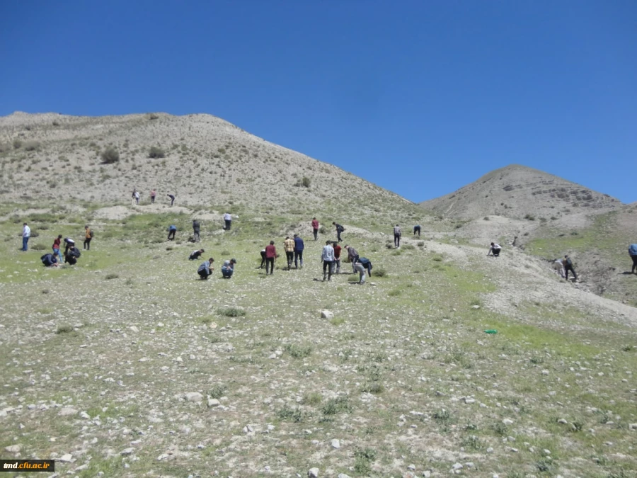 در راستای درس آموزش علوم تجربی و با حضور دکتر رئوفیان انجام شد : 
بایدید دانشجویان ورودی 1400 از معدن نمک و روستای ییلاقی بقیع شهرستان نیشابور  2