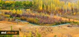 بمناسبت هفته تربیت بدنی انجام خواهد شد : 
همایش کوهپیمایی و گلگشت چهارشنبه 27 مهرماه 1401