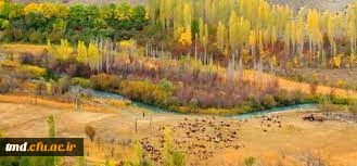 بمناسبت هفته تربیت بدنی انجام خواهد شد : 
همایش کوهپیمایی و گلگشت چهارشنبه 27 مهرماه 1401