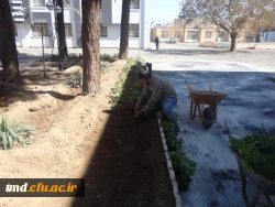 همزمان با روز درختکاری انجام شد : 
غرس نهال و کاشت گل در محوطه دانشگاه فرهنگیان واحد دانشور  2