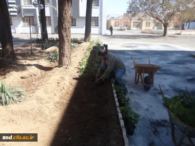 همزمان با روز درختکاری انجام شد : 
غرس نهال و کاشت گل در محوطه دانشگاه فرهنگیان واحد دانشور 