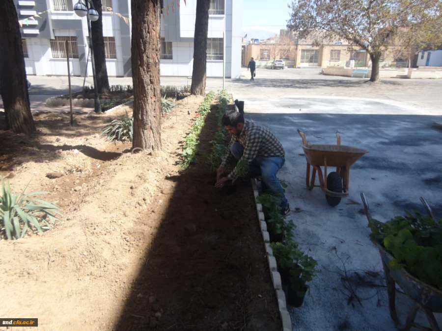 همزمان با روز درختکاری انجام شد : 
غرس نهال و کاشت گل در محوطه دانشگاه فرهنگیان واحد دانشور  2