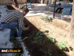 همزمان با روز درختکاری انجام شد : 
غرس نهال و کاشت گل در محوطه دانشگاه فرهنگیان واحد دانشور  3