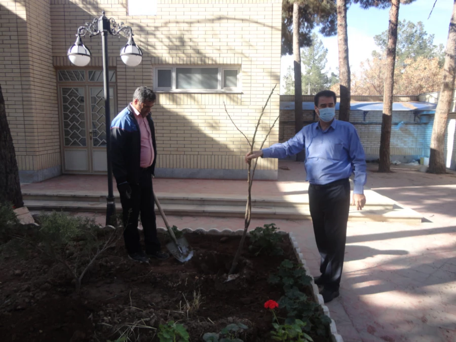 همزمان با روز درختکاری انجام شد : 
غرس نهال و کاشت گل در محوطه دانشگاه فرهنگیان واحد دانشور  5