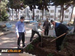 همزمان با روز درختکاری انجام شد : 
غرس نهال و کاشت گل در محوطه دانشگاه فرهنگیان واحد دانشور  6