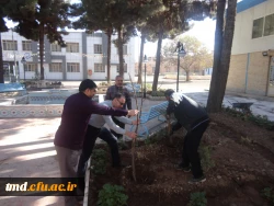 همزمان با روز درختکاری انجام شد : 
غرس نهال و کاشت گل در محوطه دانشگاه فرهنگیان واحد دانشور  7