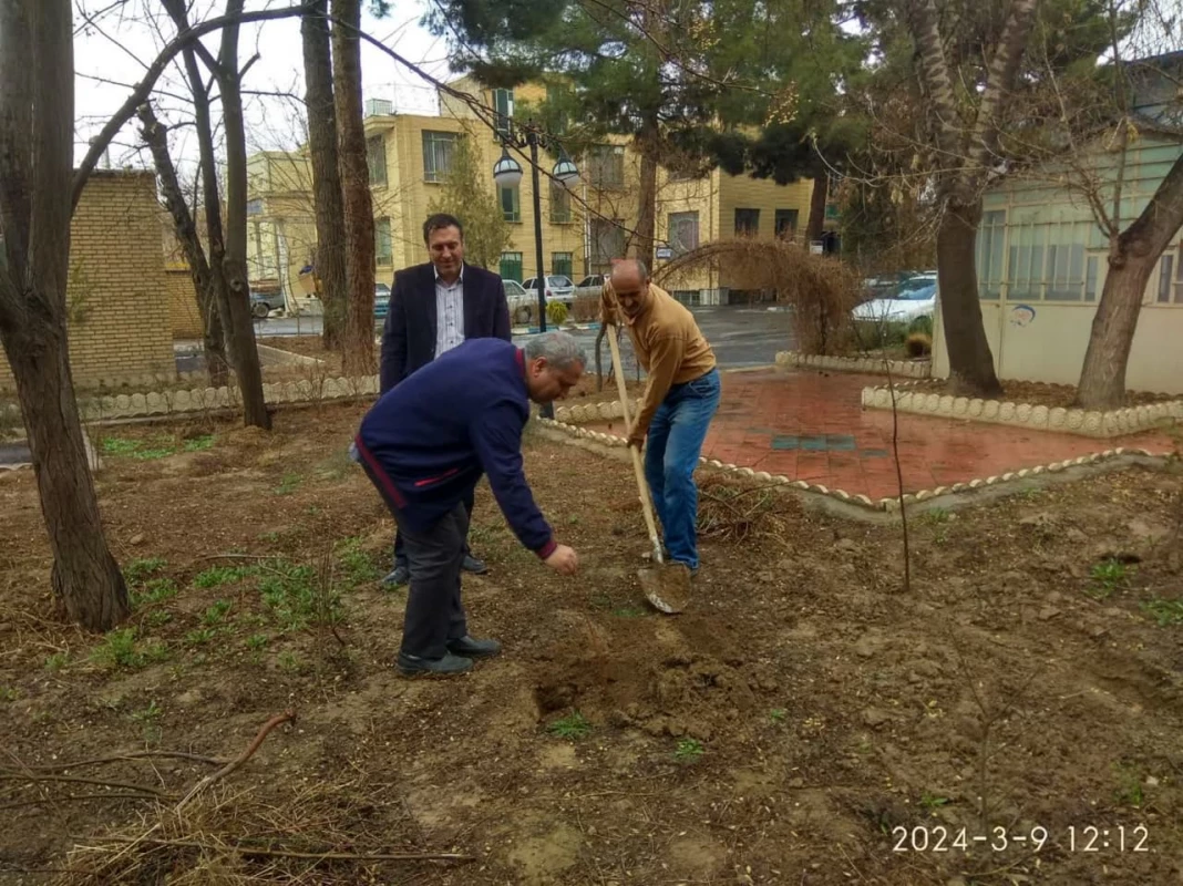 همزمان با روز درختکاری انجام شد : 
غرس سه عدد نهال مثمر در محوطه دانشگاه فرهنگیان واحد دانشور  2