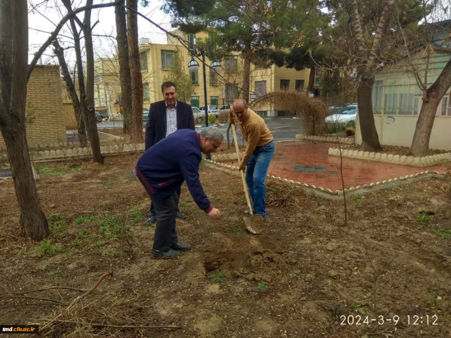همزمان با روز درختکاری انجام شد : 
غرس سه عدد نهال مثمر در محوطه دانشگاه فرهنگیان واحد دانشور  2