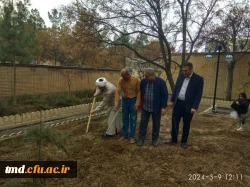 همزمان با روز درختکاری انجام شد : 
غرس سه عدد نهال مثمر در محوطه دانشگاه فرهنگیان واحد دانشور  4
