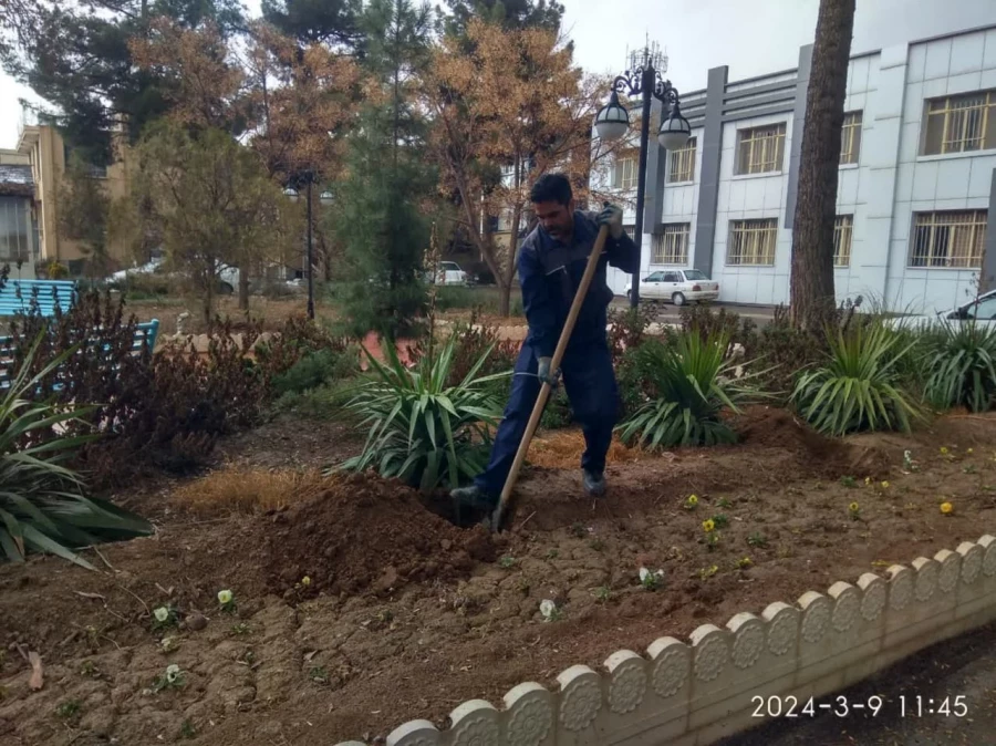 همزمان با روز درختکاری انجام شد : 
غرس سه عدد نهال مثمر در محوطه دانشگاه فرهنگیان واحد دانشور  5