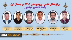 نفرات برگزیده علمی در نیمسال اول 403-402  واحد دانشور نیشابور  4