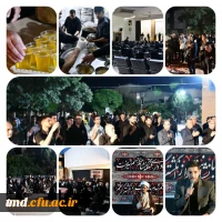 photo_2024-07-22_08-40-56