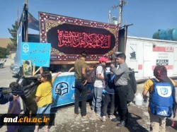 همزمان با ایام آخر ماه صفر و شهادت پیامبر اکرم و امام حسن مجتبی و امام رضا (علیهم السلام ) انجام شد : 
برپایی موکب و پذیرایی از زائران پیاده حرم رضوی  3