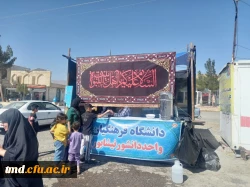 همزمان با ایام آخر ماه صفر و شهادت پیامبر اکرم و امام حسن مجتبی و امام رضا (علیهم السلام ) انجام شد : 
برپایی موکب و پذیرایی از زائران پیاده حرم رضوی  8