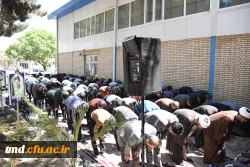 همزمان با ایام شهادت امام جعفر صادق ( ع) انجام شد : 
مراسم استقبال از شهید علی اصغر مرشدلو از شهدای تازه تفحص شده  3