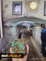 همزمان با دهه سرآمدی آموزش انجام شد : 
بازدید دانشجویان واحد دانشور از معادن فیروزه و نمک شهرستان نیشابور  6