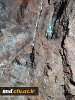 همزمان با دهه سرآمدی آموزش انجام شد : 
بازدید دانشجویان واحد دانشور از معادن فیروزه و نمک شهرستان نیشابور  7