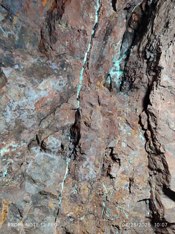 همزمان با دهه سرآمدی آموزش انجام شد : 
بازدید دانشجویان واحد دانشور از معادن فیروزه و نمک شهرستان نیشابور  7