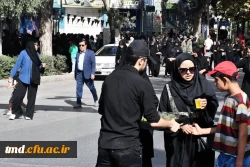 همزمان با روز اربعین حسینی انجام شد:
برپایی موکب پذیرایی 4