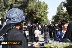 همزمان با روز اربعین حسینی انجام شد:
برپایی موکب پذیرایی 9