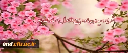 فرارسیدن ماه ربیع الاول گرامی باد 