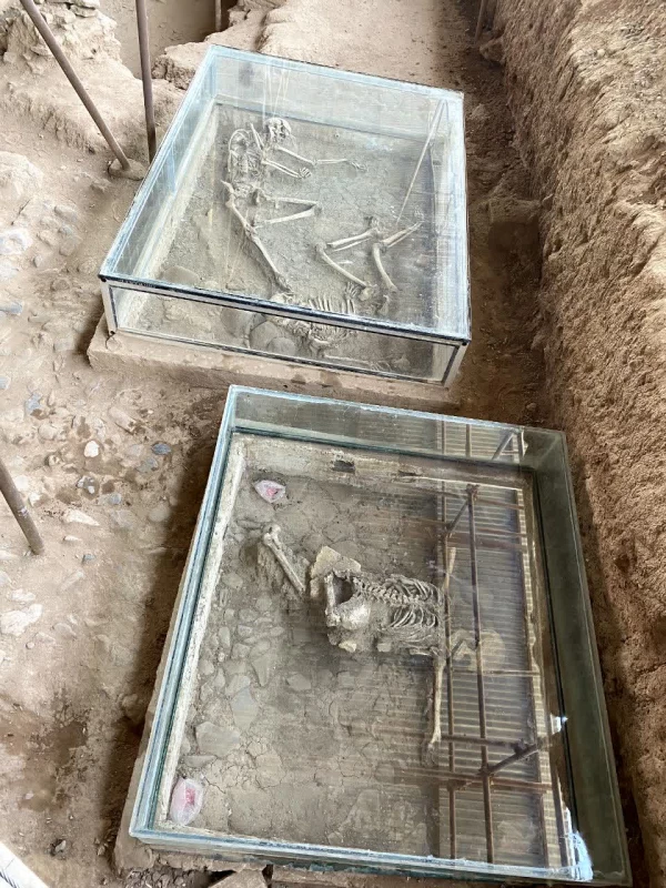 برگزاری اردوی توجیهی تفریحی دانشجویان جدید الورود  9