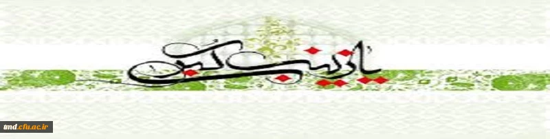 میلاد باسعادت حضرت زینب کبری(س)مبارک باد.