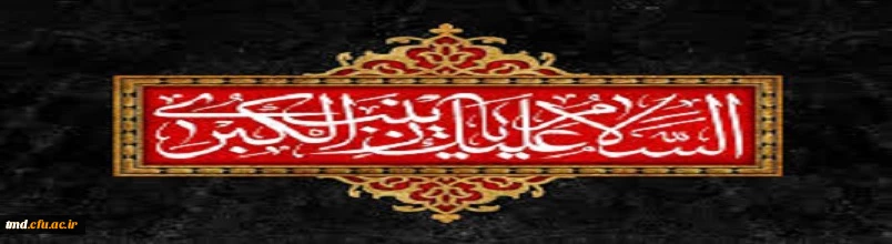 یا زینب(س)